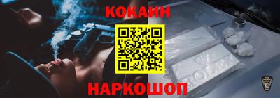 шишки Обь