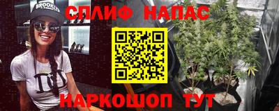 шишки Обь