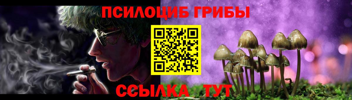 Псилоцибиновые грибы Magic Shrooms Пятигорск